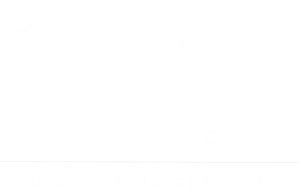 Winday White Logo